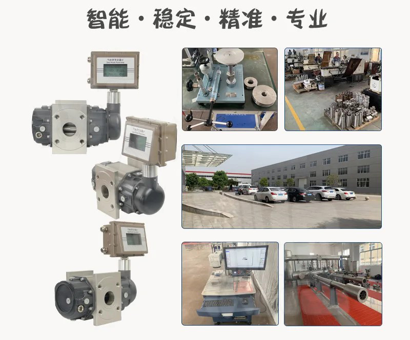 沼氣羅茨流量計(jì)工廠(chǎng)展示圖